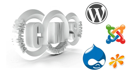 web development in tirunelveli RAMS SERVICES